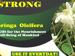 moringa