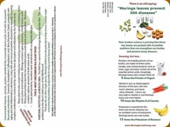 MoringaLiveStrong_Brochure